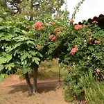 800 Mt Dal Mare - Casa Flora E Casa Aurora * Tertenìa