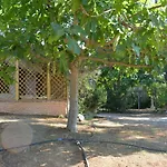800 Mt Dal Mare - Casa Flora E Casa Aurora Hébergement de vacances
