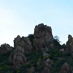 800 Mt Dal Mare - Casa Flora E Casa Aurora