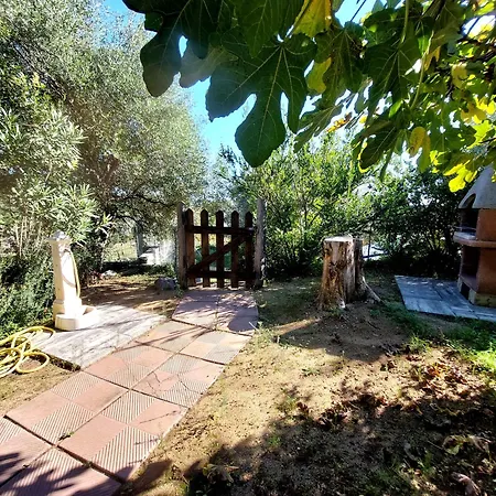 800 Mt Dal Mare - Casa Flora E Casa Aurora *