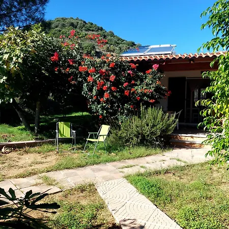800 Mt Dal Mare - Casa Flora E Casa Aurora Tatil Evi Tertenìa