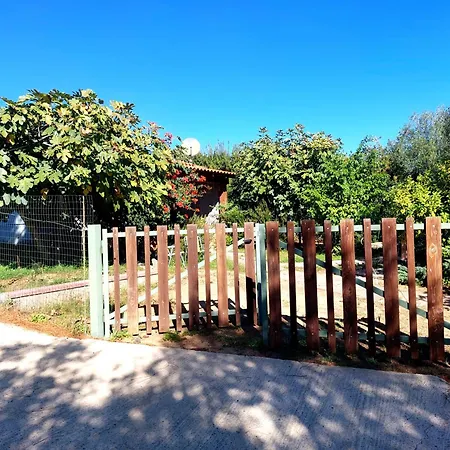 800 Mt Dal Mare - Casa Flora E Casa Aurora Tatil Evi