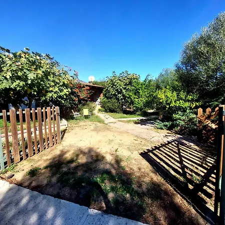 800 Mt Dal Mare - Casa Flora E Casa Aurora *