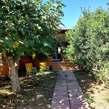 Tatil Evi 800 Mt Dal Mare - Casa Flora E Casa Aurora Tertenìa