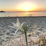 Дом отдыха 800 Mt Dal Mare - Casa Flora E Casa Aurora