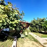 800 Mt Dal Mare - Casa Flora E Casa Aurora