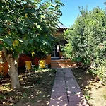 Дом отдыха 800 Mt Dal Mare - Casa Flora E Casa Aurora Тертения