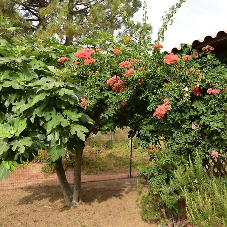 Casa Flora E Casa Aurora * Tertenia