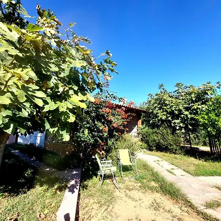 800 Mt Dal Mare - Casa Flora E Casa Aurora