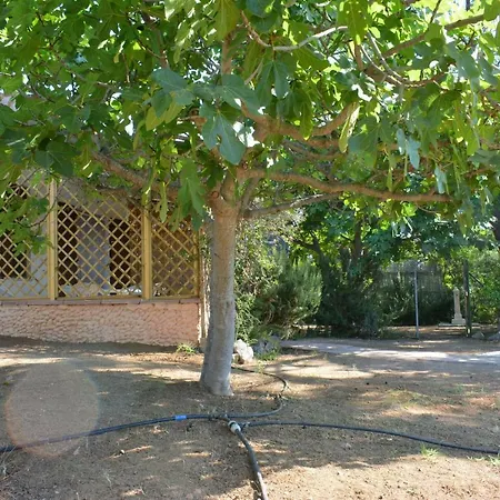 Casa Flora E Casa Aurora Holiday home
