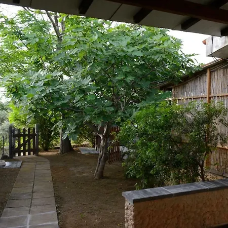 Casa Flora E Casa Aurora *