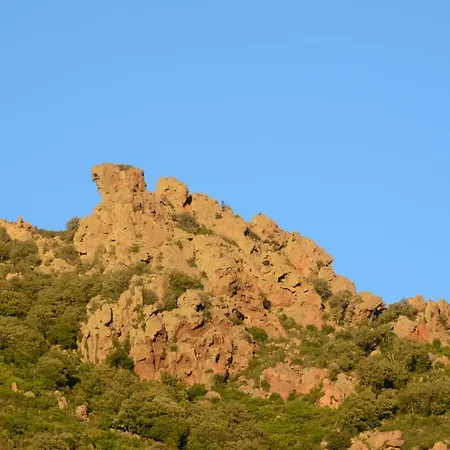 Casa Vigna Laterale E Casa vacanze Tertenìa