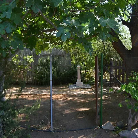 Casa Vigna Laterale E Casa vacanze Tertenìa